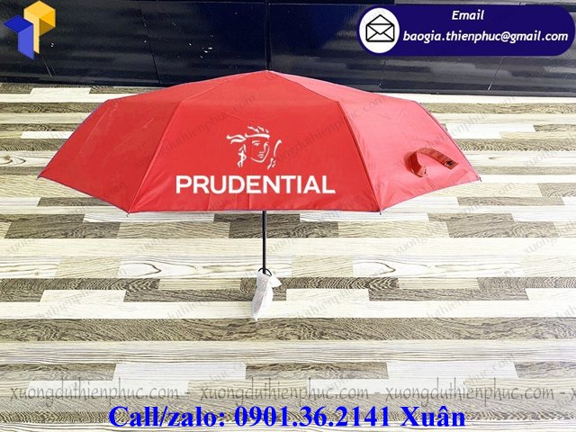 ô dù cầm tay xếp giá rẻ